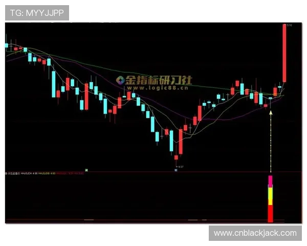 二十一点公式图详解：掌握基本策略提升胜率的完整指南